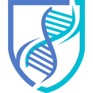 Proxmox: OpenCTI in a Linux Container (LXC)