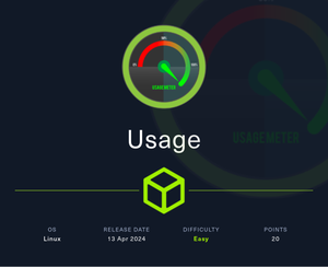 HackTheBox | Usage